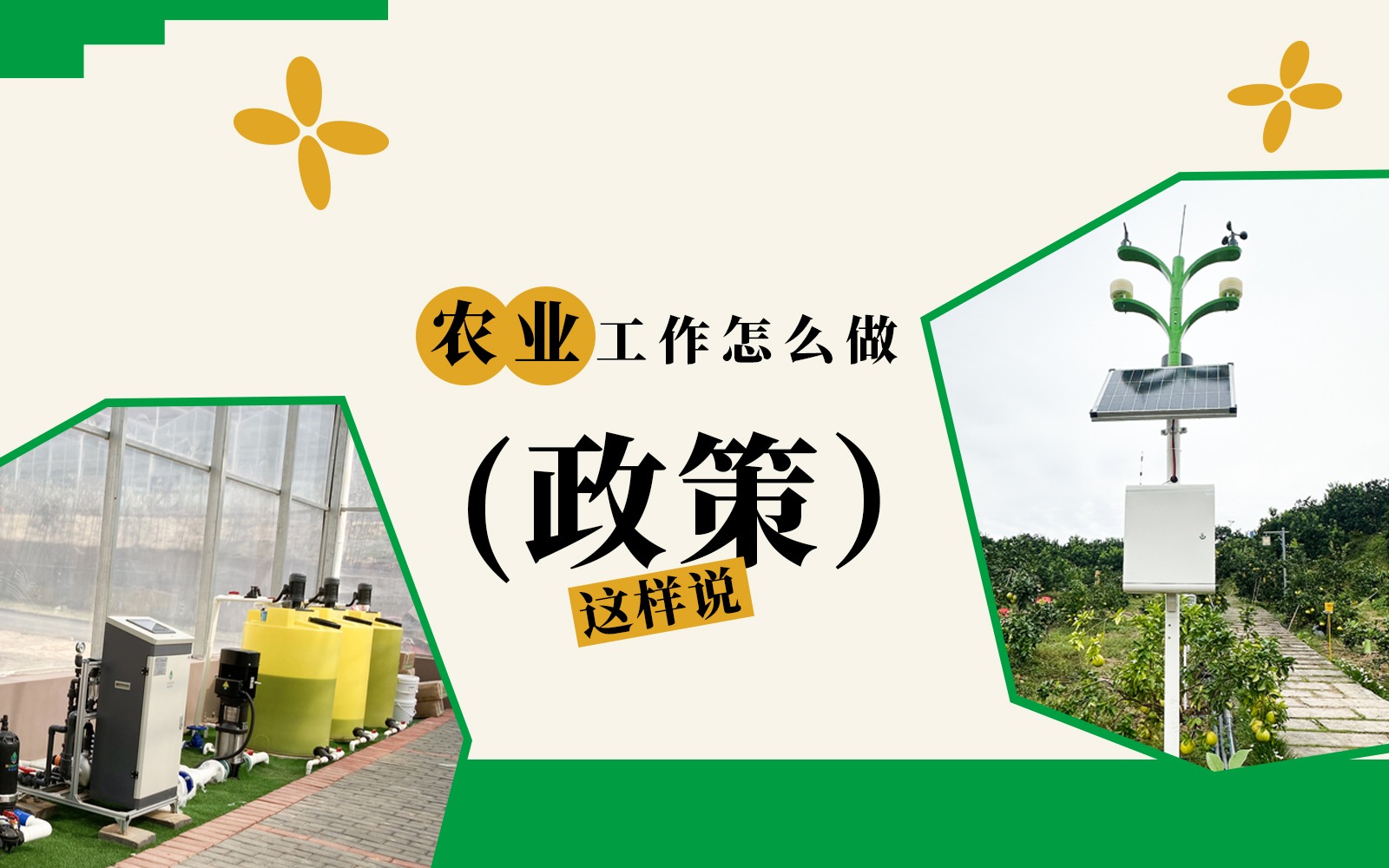 农业工作怎么做？这些政策说了！
