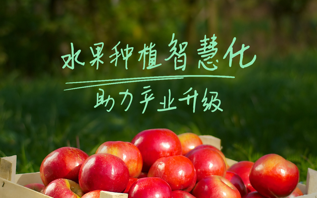 67381顶级国际娱乐 - 更高质量的游戏资讯来源科技发布智慧果园解决方案