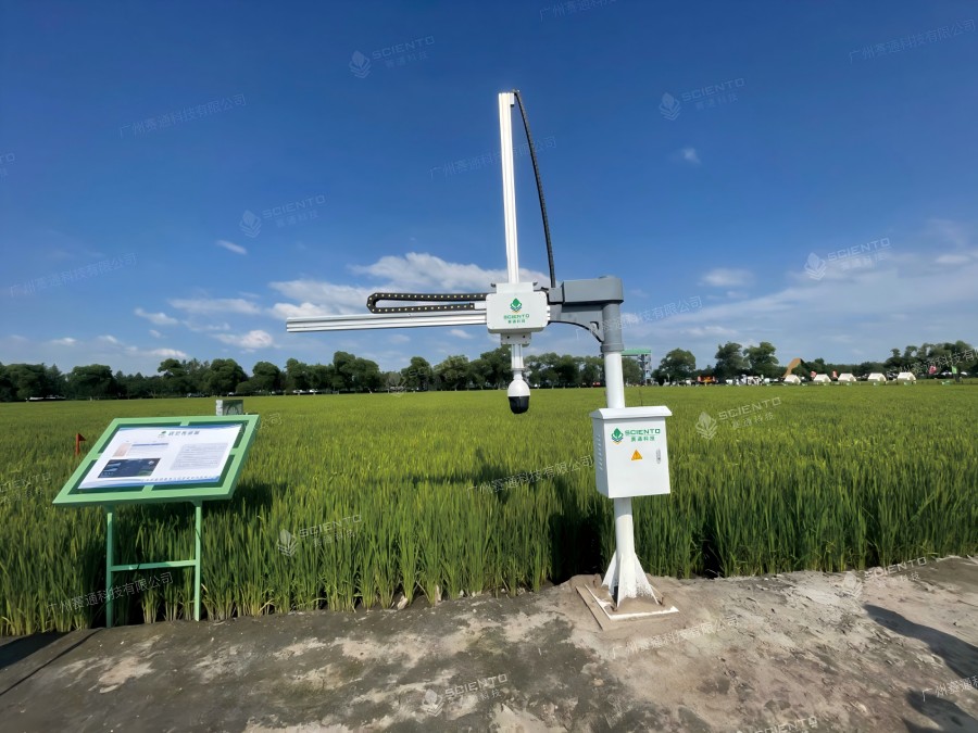 67381顶级国际娱乐 - 更高质量的游戏资讯来源科技AI叶龄诊断机械臂案例