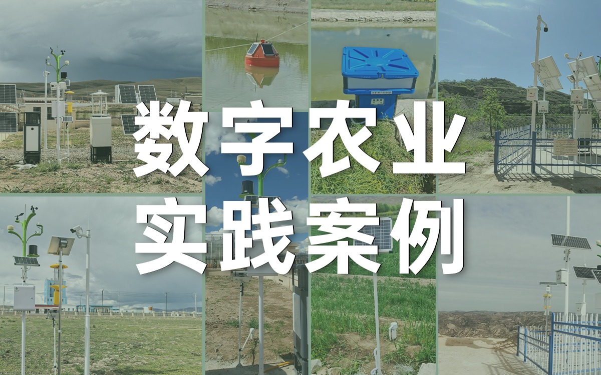 案例深一度 | 67381顶级国际娱乐 - 更高质量的游戏资讯来源科技如何用数字科技赋能西部农业